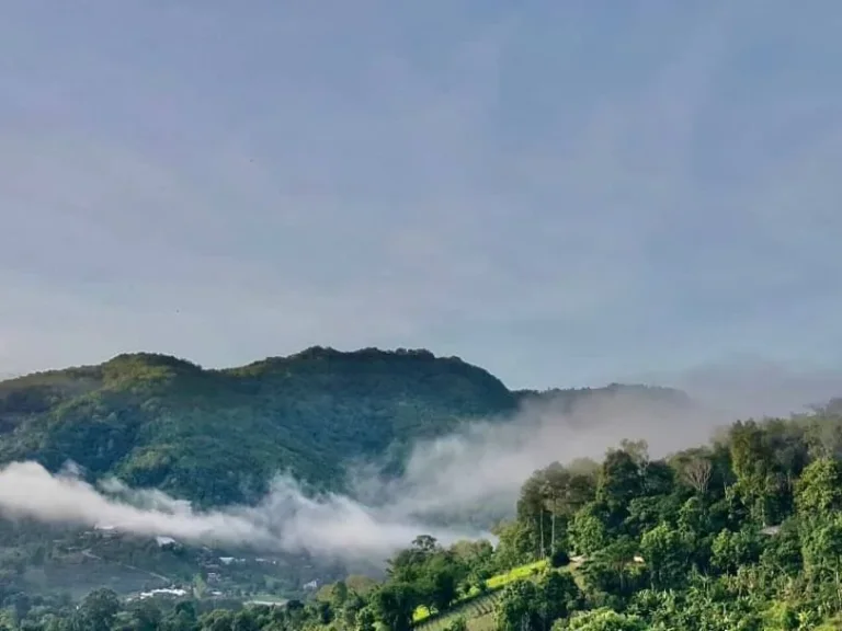 ที่ดินแปลงสวย ทำเลดี วิวเขา เนินดอย อแม่ริม เชียงใหม่