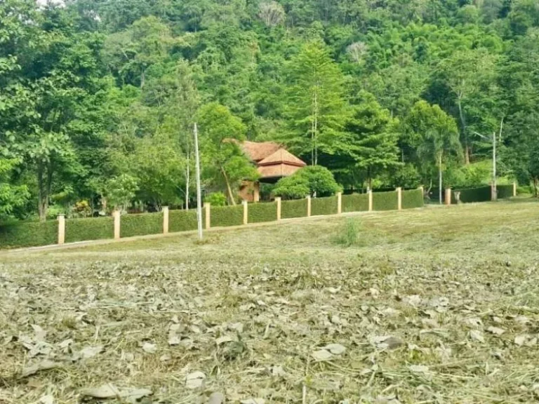 ที่ดินแปลงสวย ทำเลดี วิวเขา เนินดอย อแม่ริม เชียงใหม่