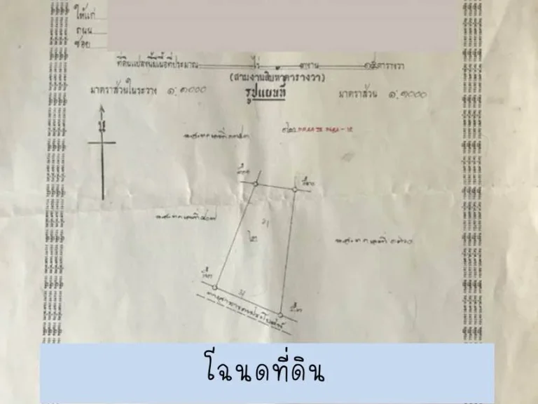 ขาย ที่ดิน 3 งาน 15 ตารางวา C78 ใกล้เทศบาลหนองปลาบาก 315 sqwa land at Sri Chiangmai District Nongkhai Province for sale