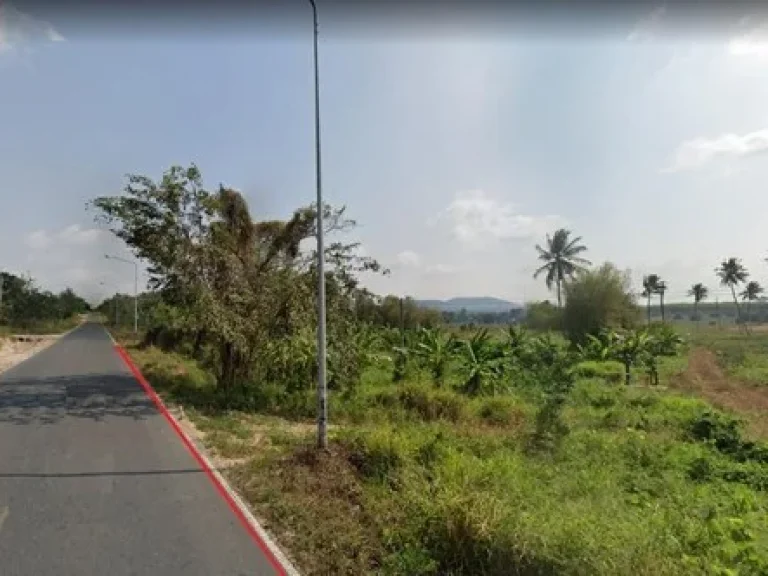 Land For Sale ที่ดิน 24 ไร่ สีม่วงลาย ซอย 11 อำเภอนิคมพัฒนา ระยอง