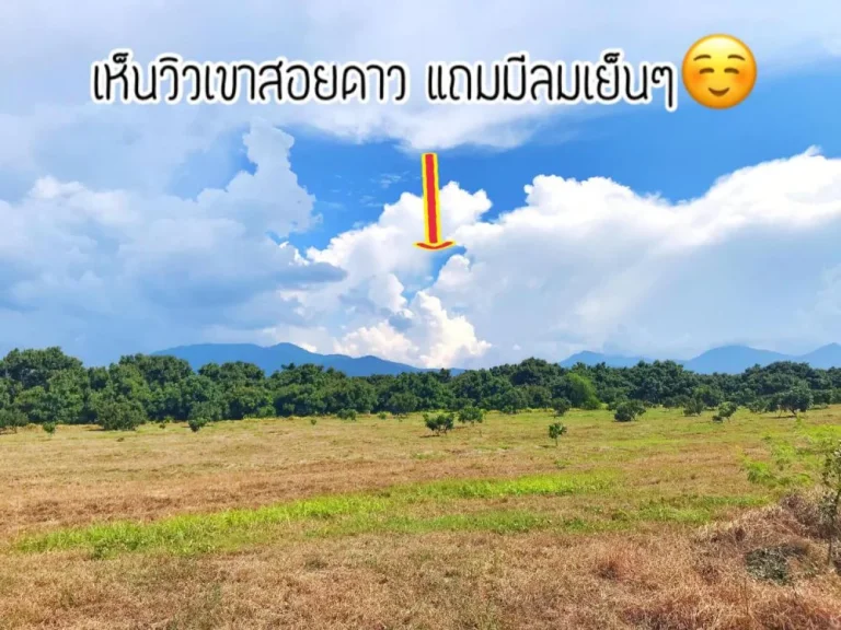 ขายสวนลำไย 23-3-10ไร่ ติดถจันฯ-สระแก้ว ตปะตง อสอยดาว จันทบุรี