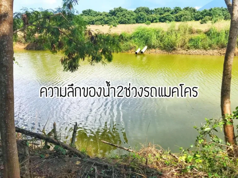 ขายสวนลำไย 23-3-10ไร่ ติดถจันฯ-สระแก้ว ตปะตง อสอยดาว จันทบุรี