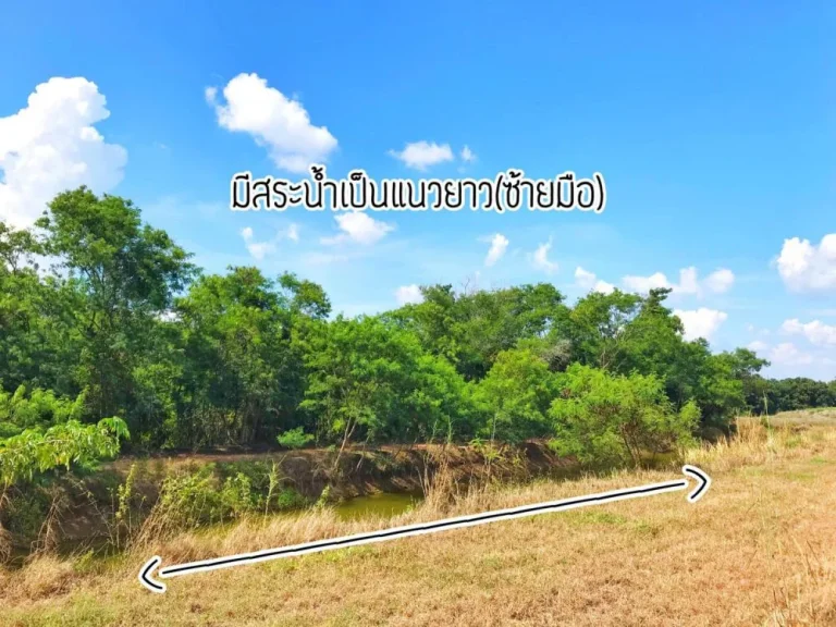 ขายสวนลำไย 23-3-10ไร่ ติดถจันฯ-สระแก้ว ตปะตง อสอยดาว จันทบุรี