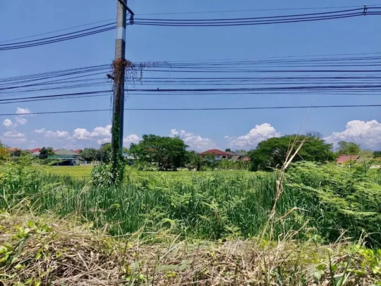 ขายที่ดินแปลงสวย ดอยสะเก็ด เชียงใหม่