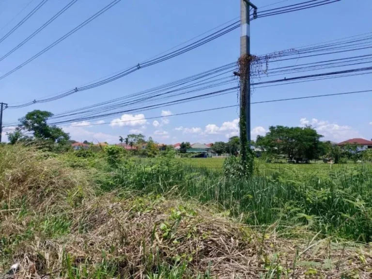 ขายที่ดินแปลงสวย ดอยสะเก็ด เชียงใหม่