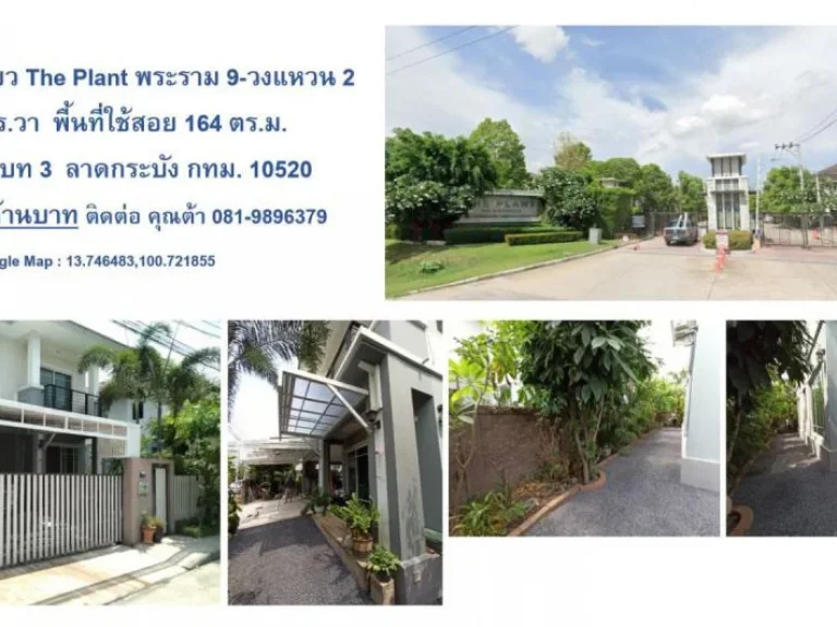 ขายบ้านเดี่ยว The Plant พระราม 9-วงแหวน 2 ที่ดิน 58 ตรวา พื้นที่ใช้สอย 164 ตรม