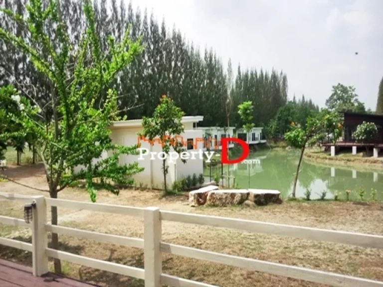 ขายรีสอร์ทสร้างใหม่ lake pine Resort เนื้อที่ 8 ไร่ ตรงข้ามอบตขนงพระเยื้องโบนันซ่า Fishing Paark 7 กม