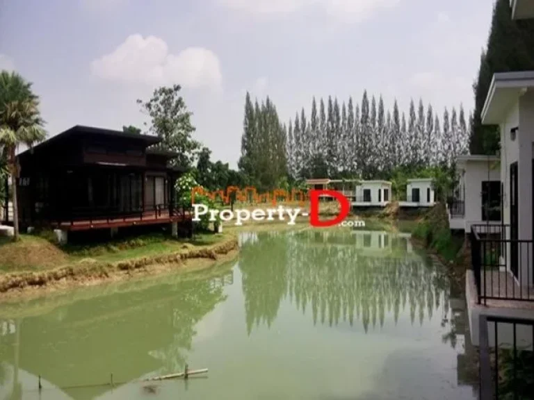 ขายรีสอร์ทสร้างใหม่ lake pine Resort เนื้อที่ 8 ไร่ ตรงข้ามอบตขนงพระเยื้องโบนันซ่า Fishing Paark 7 กม