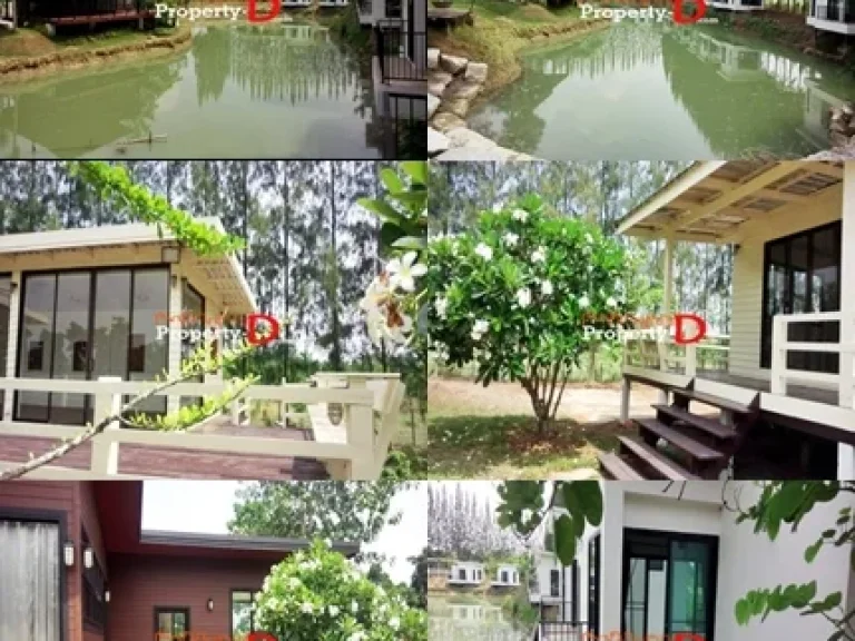 ขายรีสอร์ทสร้างใหม่ lake pine Resort เนื้อที่ 8 ไร่ ตรงข้ามอบตขนงพระเยื้องโบนันซ่า Fishing Paark 7 กม