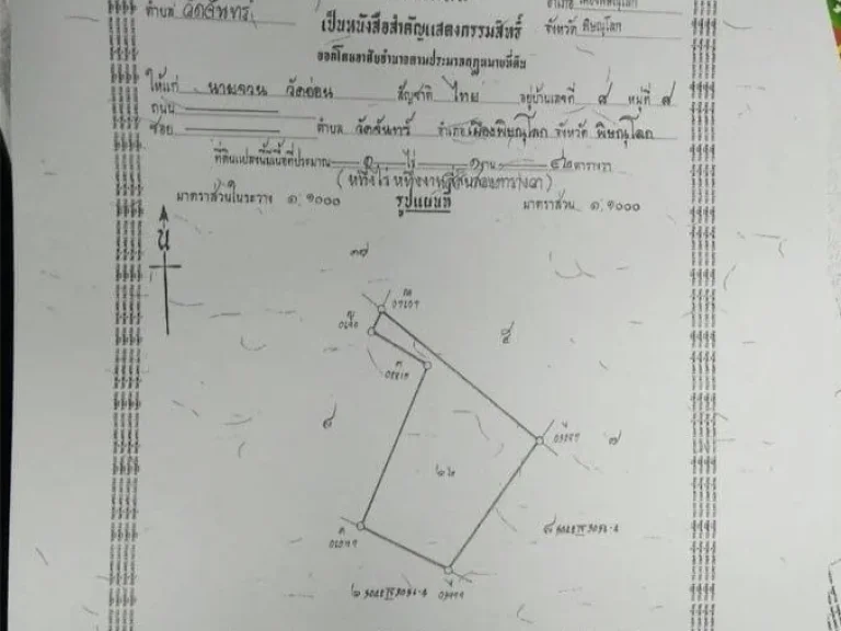 ขายที่ดินหลังอบตวัดจันทร์ รูปที่ดินสวย ทำเลดี เหมาะสร้างบ้านขาย จัดสรรที่ดินขาย