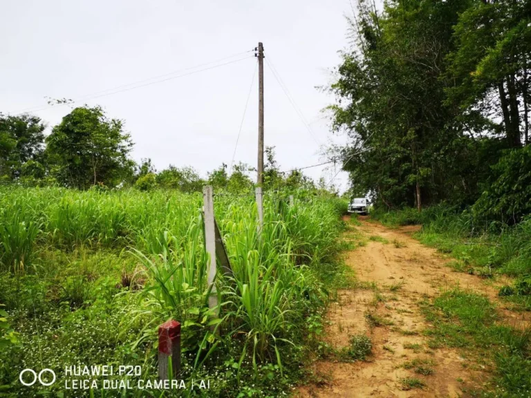 ที่ดินริมน้ำกาญจนบุรี