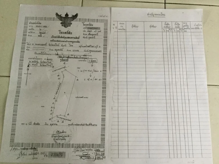 ขายที่ดิน 25-1-79 ไร่ ตนาดี อเมือง จอุดรธานี