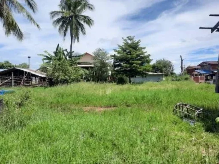 ขายที่ดิน บ้านหนองบัวบานเย็น ตำบลศรีสำราญ อคอนสวรรค์ จชัยภุูมิ