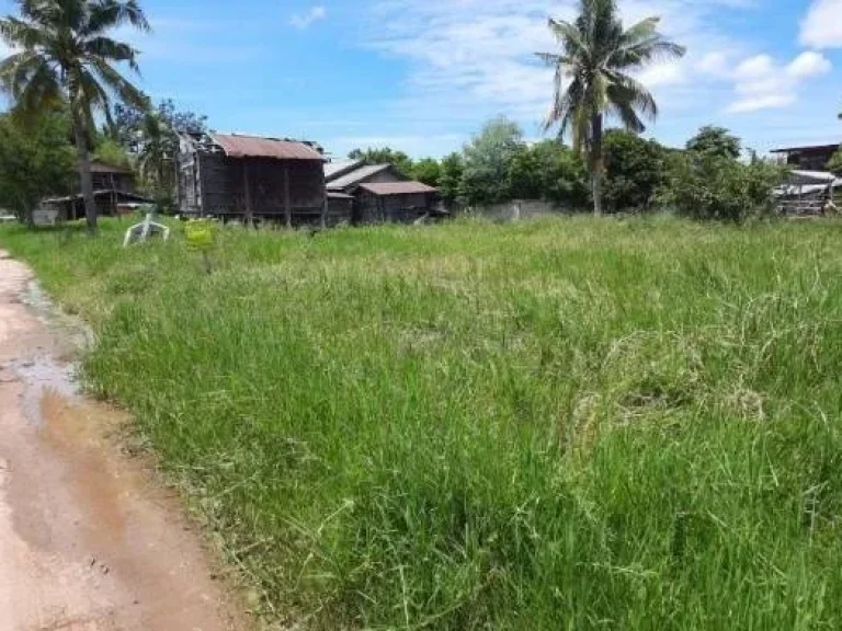 ขายที่ดิน บ้านหนองบัวบานเย็น ตำบลศรีสำราญ อคอนสวรรค์ จชัยภุูมิ