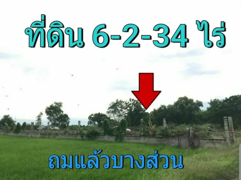 ขายที่ดินราคาถูกมาก 6 ไร่ครึ่ง โซนวัดสโมสร ตำบล ไทรใหญ่ อำเภอ ไทรน้อยนนทบุรี