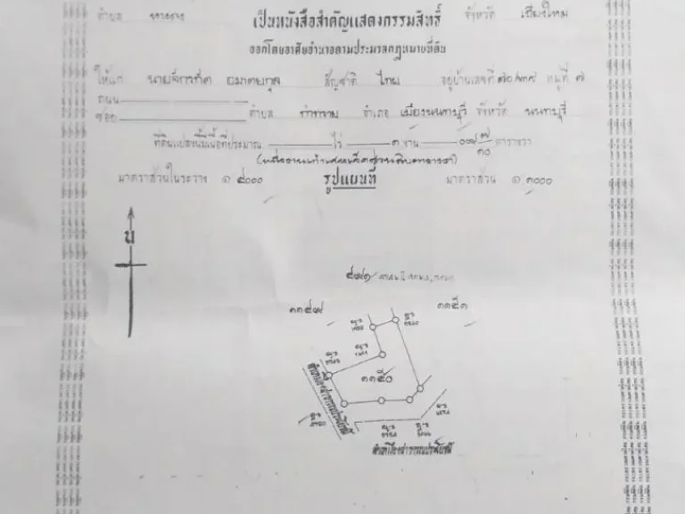 ขายที่ดิน 109 ตรว อหางดงใกล้บิ๊กซี