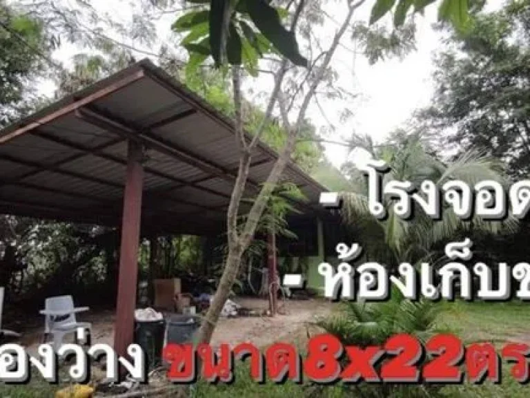 ขายที่ดินพร้อมสิ่งปลูกสร้าง จอุบลฯ อม่วงสามสิบ 7 ไร่ 1 งาน 33 ตรวา บ้านพักอาศัยพร้อมอยู่