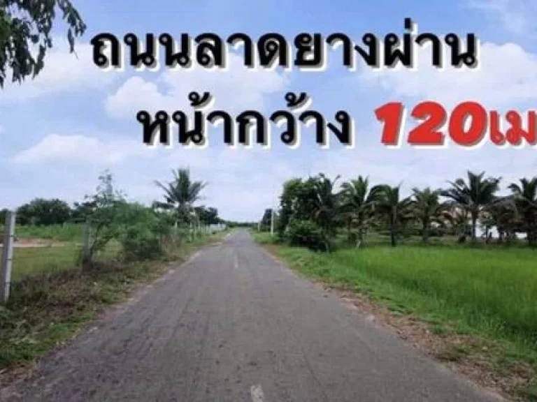 ขายที่ดินพร้อมสิ่งปลูกสร้าง จอุบลฯ อม่วงสามสิบ 7 ไร่ 1 งาน 33 ตรวา บ้านพักอาศัยพร้อมอยู่