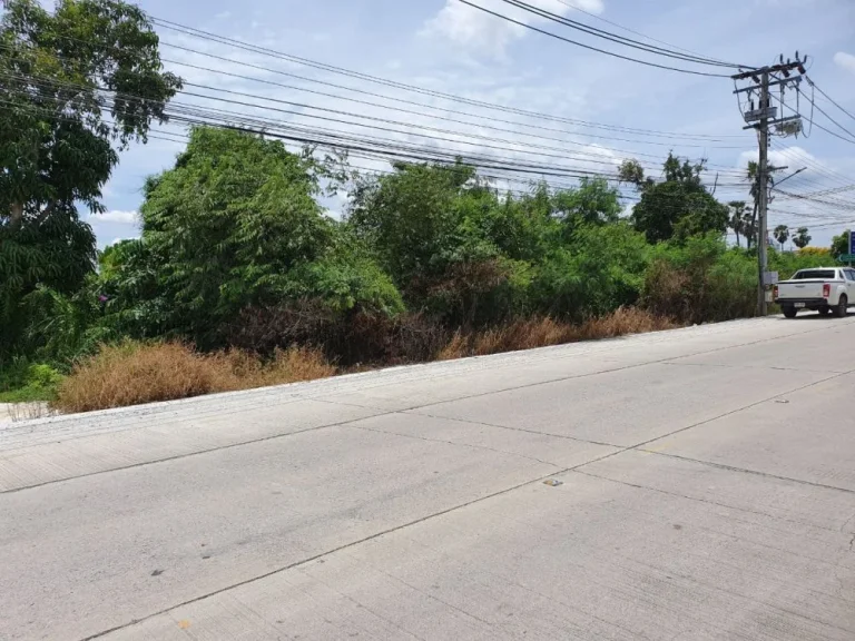 ขายที่ดิน แปลงมุม 3ไร่ 2 ตรว กว้าง 55 เมตร ยาว 90 เมตร ซวัดสว่างอารมณ์ เกาะเกร็ด 3 ทำเลเหมาะสร้างบ้าน โฮมออฟฟิศ ร้านอาหาร