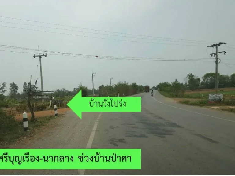 ขาย ที่ดินเพื่อการลงทุนสวนยาง 8-1-559 ไร่ C77 อศรีบุญเรือง หนองบัวลำภู