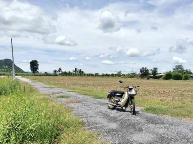 ขายที่ดินวิวภูเขาสวย 2 ด้าน วิวทุ่งนาวิวสวนปาล์ม และติดชุมชนหมู่บ้าน