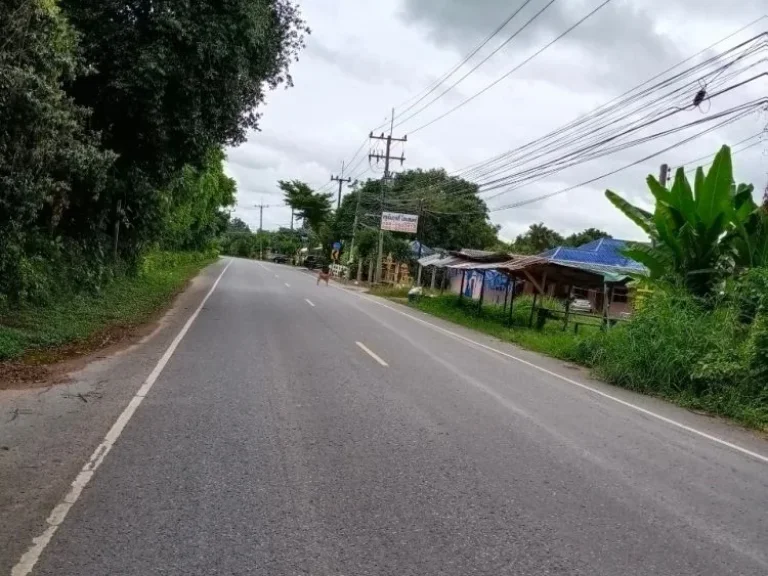 ที่ดินแปลงสวย ตำบลดงละคร อำเภอเมือง จังหวัดนครนายก