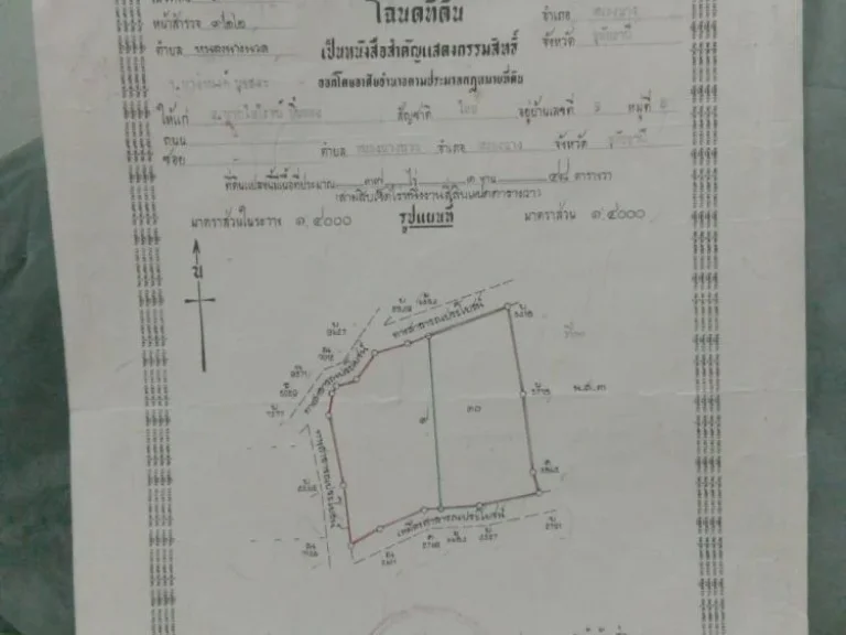 ขายบ้านพร้อมที่ดิน 2แปลงติดกัน