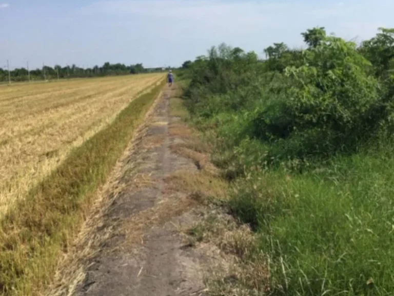 ที่ดินพื้นที่เหมาะสมสุดๆเพื่อทำเป็นหลักประกัน เมืองนนทบุรี