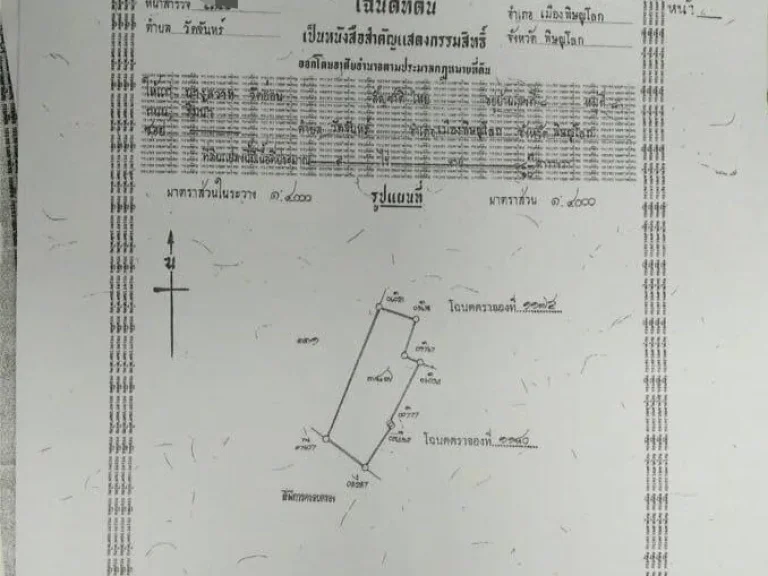 ขายที่ดิน หลัง อบตวัดจันทร์ พิษณุโลก รูปที่ดินสวย ทำเลดี เหมาะสร้างบ้านขาย จัดสรรที่ดินขาย