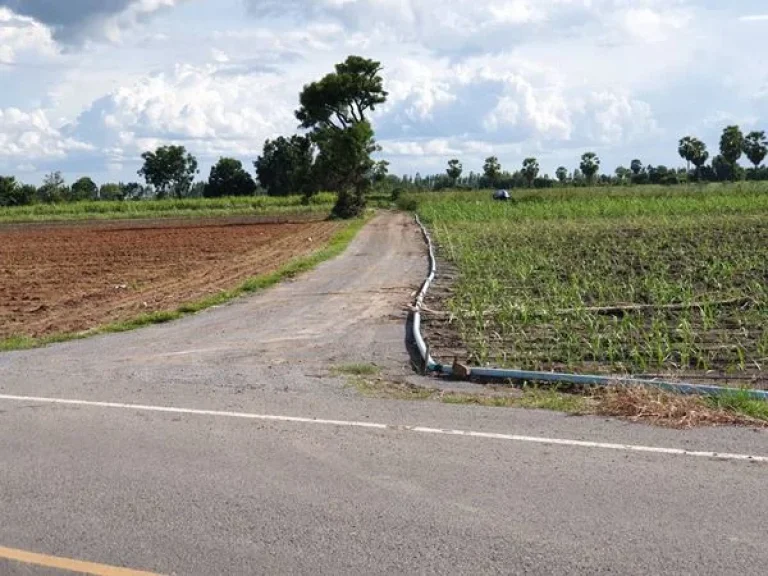 ขายที่ดินสุพรรณบุรี ติดถนนทางหลวง ตจรเข้สามพัน ออู่ทอง จสุพรรณบุรี เนื้อที่ 44 ไร่ 3 งาน 10 ตรว