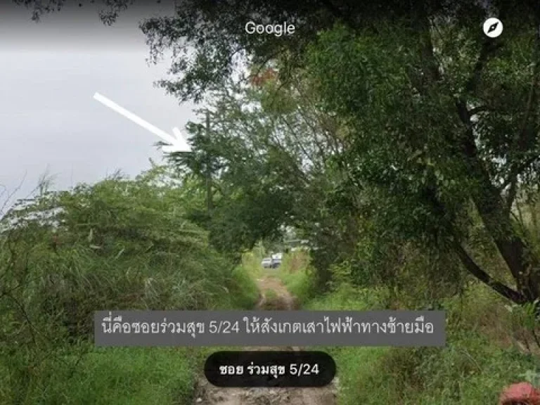 ขายที่ดิน 100 ตรว ซอย ร่วมสุข 524 ติดถนนติวานนท์ เมืองปทุมธานี