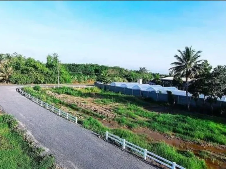 ขายที่ดิน 2 ไร่หนองเสือ ใกล้บ้านบุษยพัชร พื้นที่สีชมพู