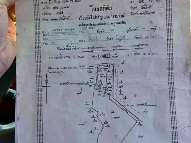 ขายที่ดิน 28 ไร่ คลองบ้านโพธิ์ อำเภอ บ้านโพธิ์ จังหวัด ฉะเชิงเทรา