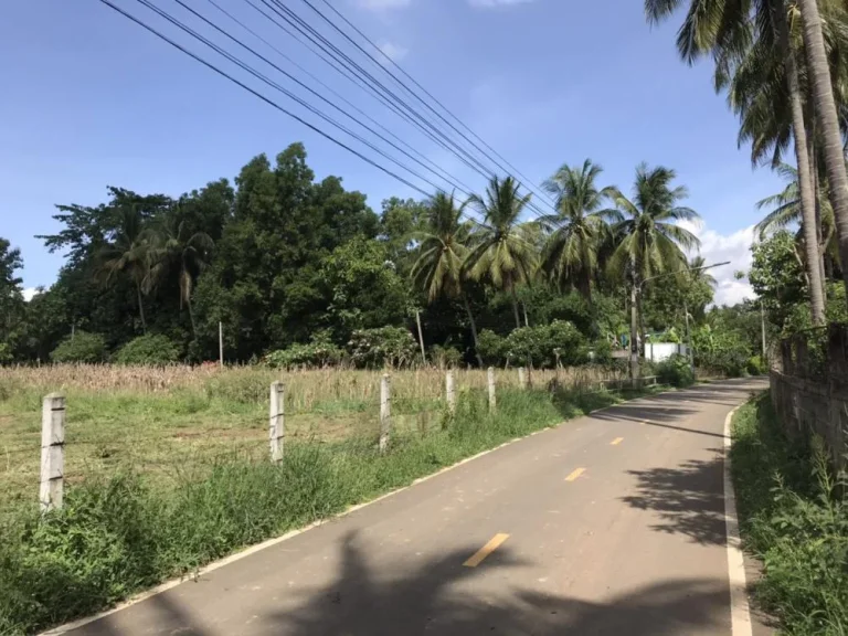 ขายที่ดิน อเมืองเพชรบูรณ์ จเพชรบูรณ์ ที่ดินสวย ราคาถูก