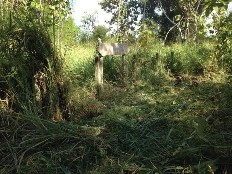 ขายด่วน ที่ดินติดถนนซุปเปอร์ เชียงใหม่ ลำปาง เจ้าของขายเอง