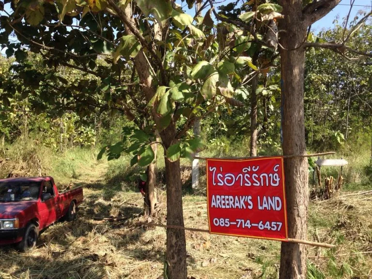 ขายด่วน ที่ดินติดถนนซุปเปอร์ เชียงใหม่ ลำปาง เจ้าของขายเอง