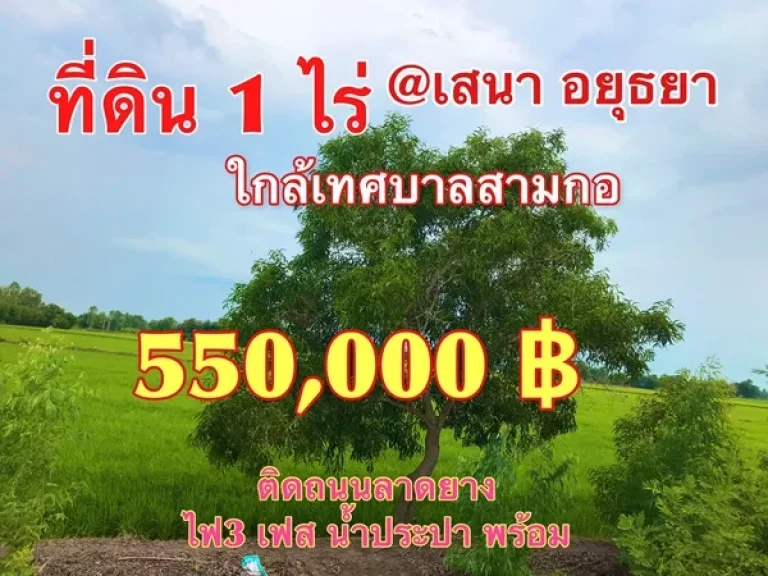 ที่ดินทำเลดี ติดถนนใกล้แหล่งชุมชน1ไร่ 550000฿ น้ำ-ไฟพร้อม ใกล้ตลาดบ้านแพน ฟรีโอน ใกล้สองไร่สโลไลฟ์ เกษตรวิลเลจ ชุมชนเทศบาลสามกอ เสนา อยุธยา