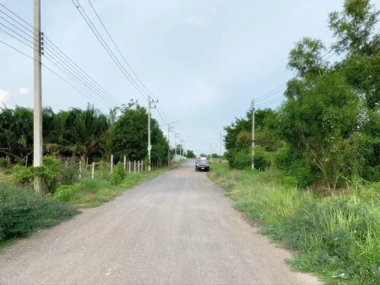 ขาย ที่ดินเปล่า ขนาด 1 ไร่ 1 งาน อำเภอหนองเสือ จังหวัดปทุมธานี