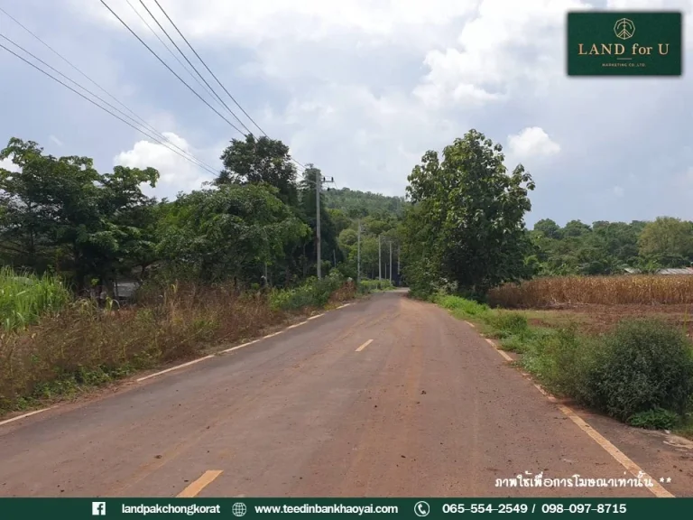 ขายที่ดินโฉนดติดถนนวิวภูเขา บ้านวังไทร ถูกมาก ตวังไทร อปากช่อง จนครราชสีมา