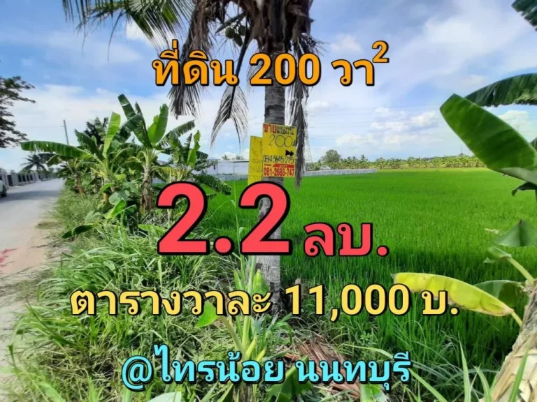 ขายที่ดินไทรน้อย 200 ตารางวา ซอยโรงเรียนบ้านคลองฝรั่ง เหมาะสร้างบ้านโกดัง ถนน บางกรวย-ไทรน้อ