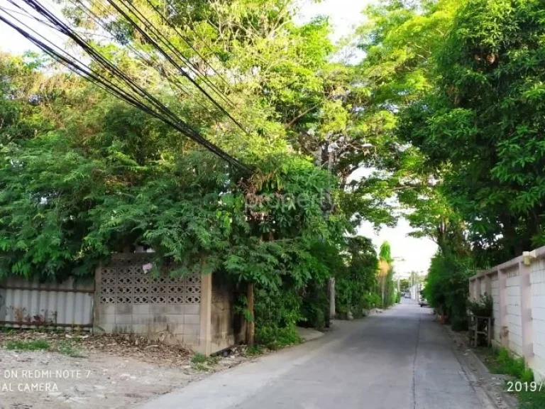 ขายที่ดิน 60 ตรวถนนลาดพร้าวใกล้สถานีรถไฟฟ้าขายที่ดิน 60 ตรวถนนลาดพร้าวใกล้สถานีรถไฟฟ้า