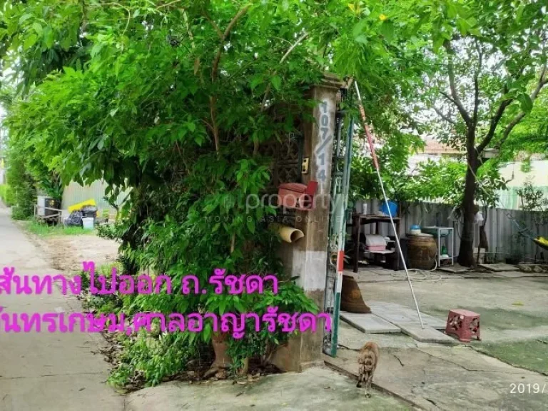 ขายที่ดิน 60 ตรวถนนลาดพร้าวใกล้สถานีรถไฟฟ้าขายที่ดิน 60 ตรวถนนลาดพร้าวใกล้สถานีรถไฟฟ้า