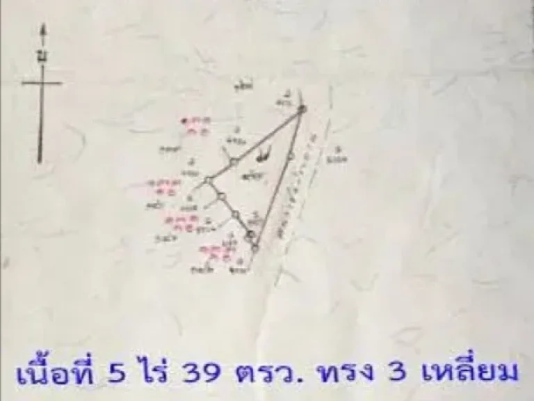 ขายด่วนที่ดินเนื้อที่ 5 ไร่ 39 ตรว ตบ้านป้อม อพระนครศรีอยุธยา จพระนครศรีอยุธยา BLAL0496