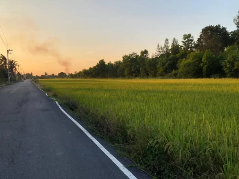 ขายที่ดิน 100 ตรว คลองห้า อคลองหลวง จังหวัดปทุมธานี