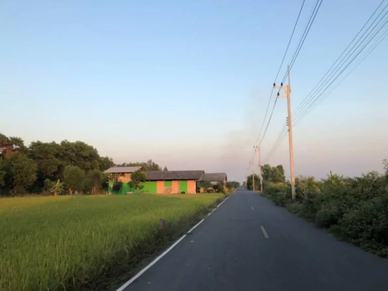 ขายที่ดิน 100 ตรว คลองห้า อคลองหลวง จังหวัดปทุมธานี