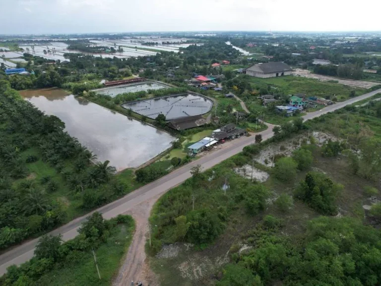 ขายที่ดิน 10 ไร่ ราคาถูก ติดคลอง ใกล้แยกตลาดไผ่ดำ จ ฉะเชิงเทราCHA-187