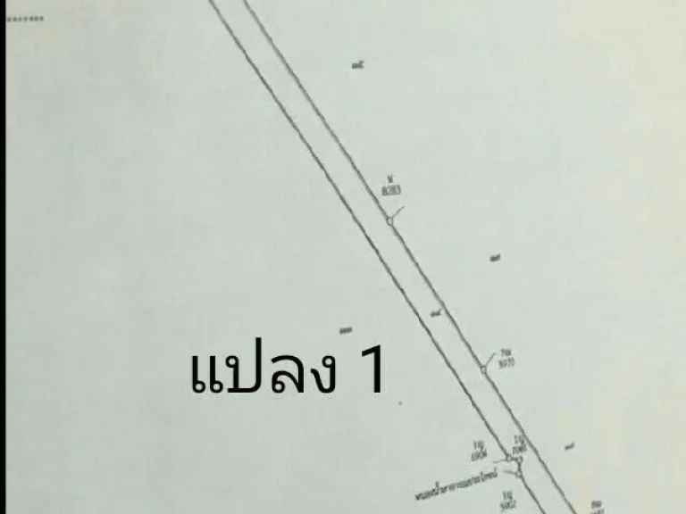 ขายด่วนที่ดิน 127 ไร่ ติดถนนวงแหวนรอบนอก คมนาคมสะดวก ใกล้กทม คลอง 14 รังสิต นครนายก