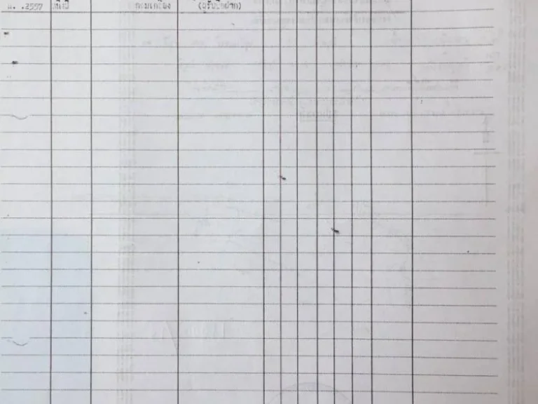 ขายด่วน ที่นา 15 ไร่ ติดห้วยกุดผักไร อจัตุรัส จชัยภูมิ