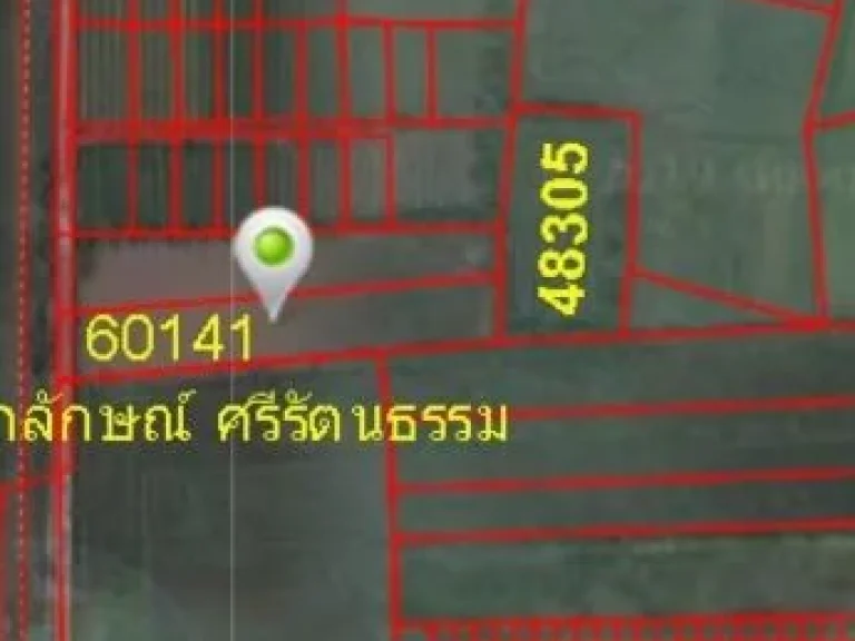 ขายด่วนที่ดินเนื้อที่ 6 ไร่ ตหนองสามวัง อหนองเสือ จปทุมธานี BLAL0411