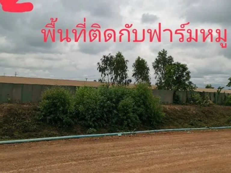 ขายที่ดิน 83 ไร่ โพธาราม จราชบุรี เหมาะสร้างฟาร์มสร้างโรงงานได้ เนื้อที่สวย ไม่ต้องถม เสมอถนน โทร